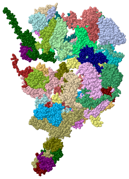 Image:3izr.png