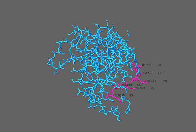 6 charged amino acids contributing to electronegative surface potential