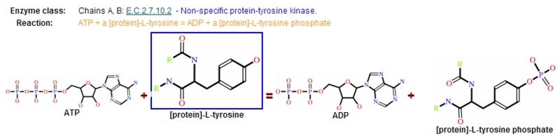 Image:Almu reaction.jpg