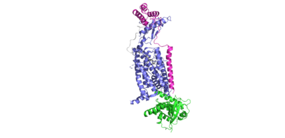 Figure 1: AMYR