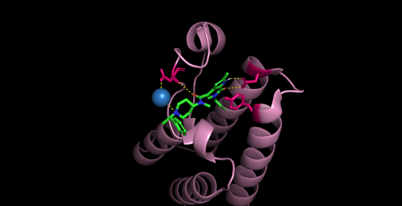 Image:Cecr2 contacts.png