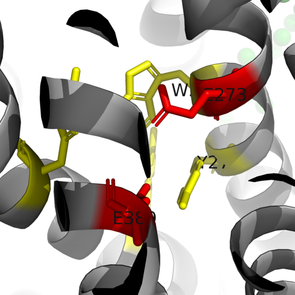 Image:Figure2 binding pocket.png