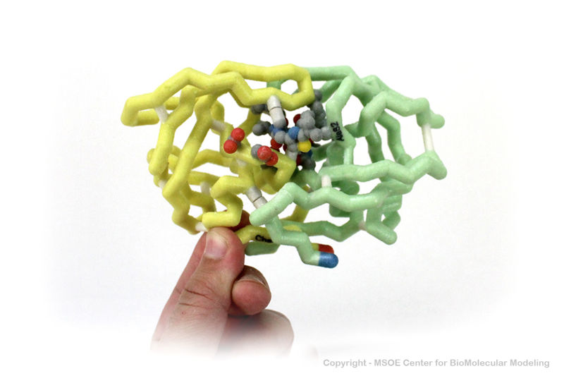 Image:HivProtease 2 centerForBiomolecularModeling.jpg