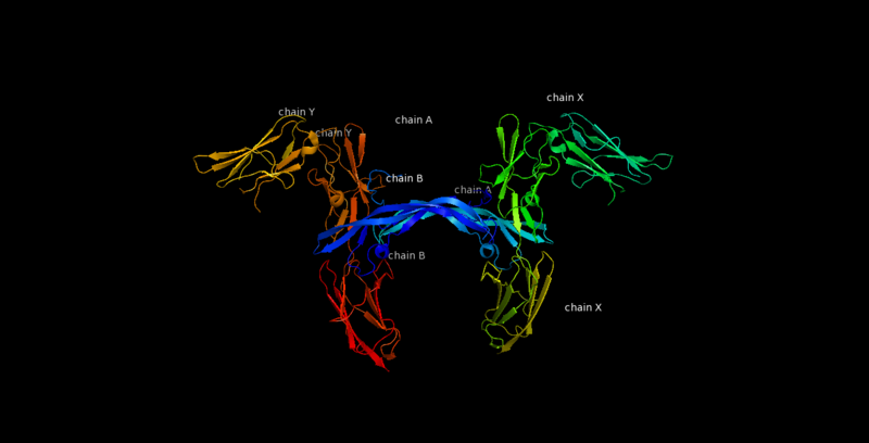 Image:Labeled PDGF-R.png