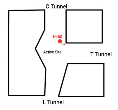 Figure #. Tunnels