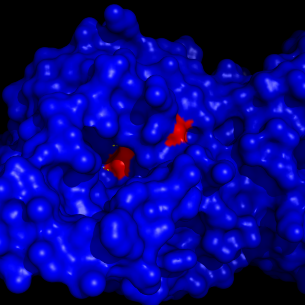 Image:Catalytic triad binding pocket.png