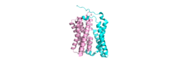Figure 1: NTCP separated by domains, a panel domain and a core domain involved in a conformational change