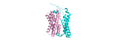 Figure 1: NTCP separated by domains, a panel domain and a core domain involved in a conformational change