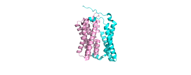 Image:Ntcp baby.png