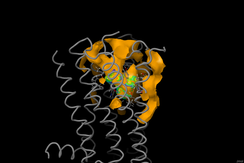 Image:3rze-pocket-.pngj.png