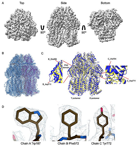 Image:022 Fig3.jpg