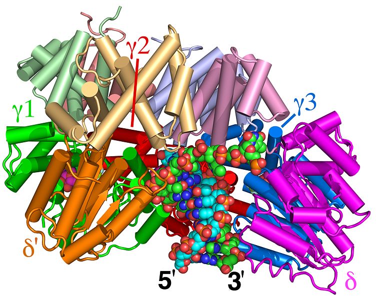 Image:Fig.30-35a.3GLF.jpg