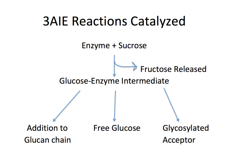 Image:Reaction GSase.png