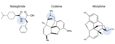 Figure 10. Common prescriptions that are tied to adverse itching side effects include nateglinide, morphine, and codeine. These drugs have structural similarities to known ligands for the MRGPRX2 receptor, and can lead to MRGPRX2 activation.