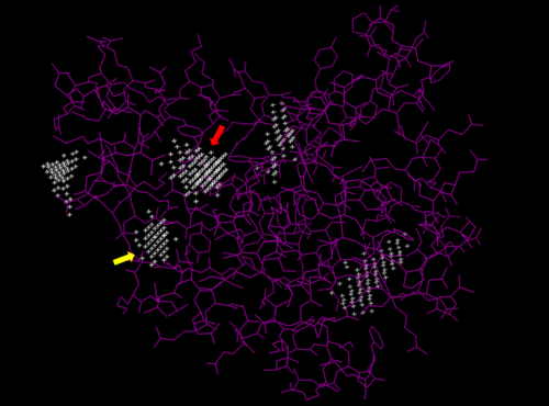 Predicted binding pockets for 3HDT represented by the white stippling.