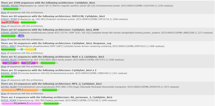 Top domain results from Pfam.