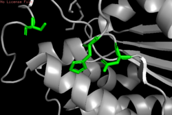 Figure 1: Catlytic Triad of 4q7q