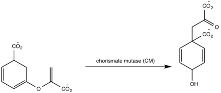 Figure 8: Isochorismate synthase activity .