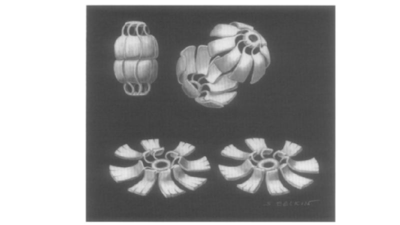 Image:Flower.jpg