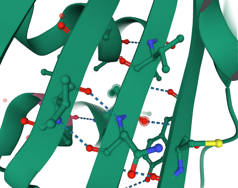 Image:H bonds.png