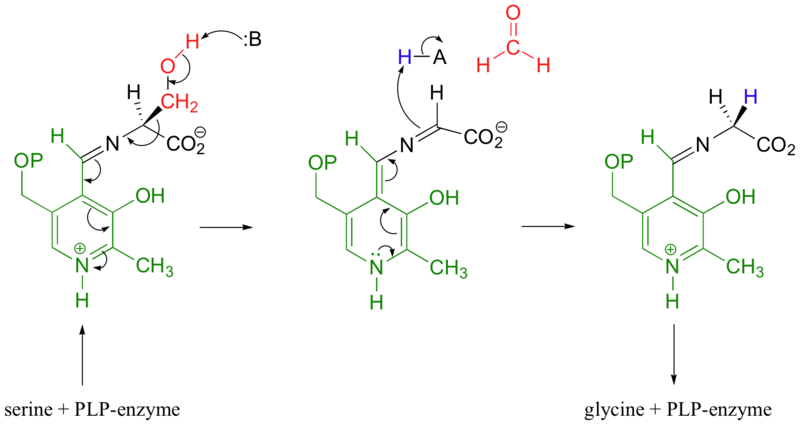 Image:S to G Mechanism.png