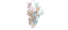 Figure Legend: An overview image of the ACE2 receptor