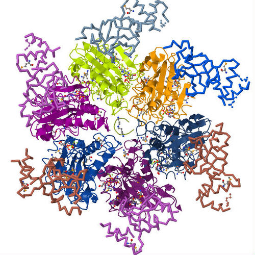 Rho Termination factor,3ICE
