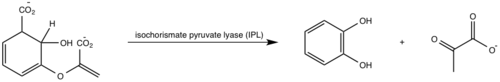 Figure 6: Isochorismate pyruvate activity  .