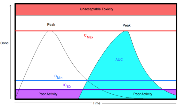 Diagram of Drug Concentration with key PK characteristics highlighted