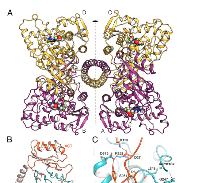Image:Fig.1.png
