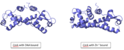 Figure :Comparison of CzrA with Zn+2 bound and CzrA with DNA bound