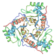 Cartoon representation of CAT III