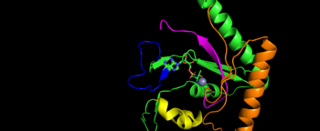 Image represents the motif of S. Aureus TARS. Motif 1 is represent in yellow, motif 2 is represented in blue, motif 3 is represented in orange, and motif 4 is magenta