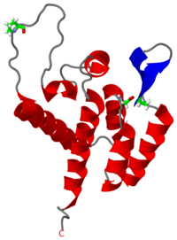 The mature CAN domain of the HIV-1 Gag283 polyprotein (1gwp), is a protein involved in formation of the capsid core particle. The structure of the CAN domain was determined through NMR by Tang et al. .