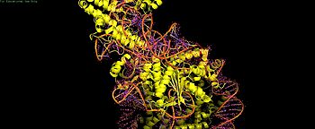 2. PI domain contacts - key residues highlighted