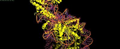 Scene 2: PI domain contacts (red residues)