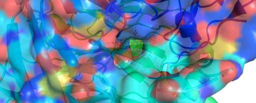 Figure 1C: Bovine RPE65 Opening into Binding Pocket with the electron mesh of Emixustat outlined using PyMOL, PDB: 4RSV 