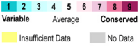 This scale is used to identify the evolutionary conservation of certain residues.  The red residues are the most conserved and the blue tend to be variable between variations of the protein.