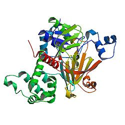 Crystal structure of yeast Rab-GDI