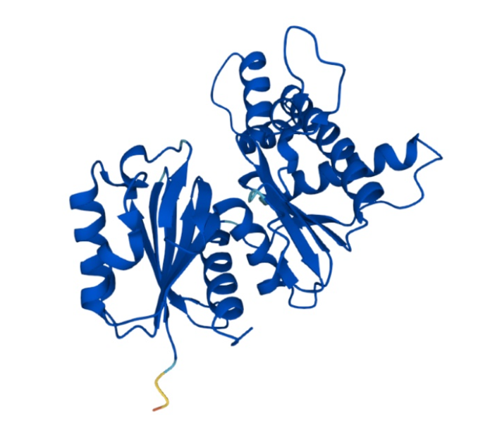 Image:Q8DN35Structure.png
