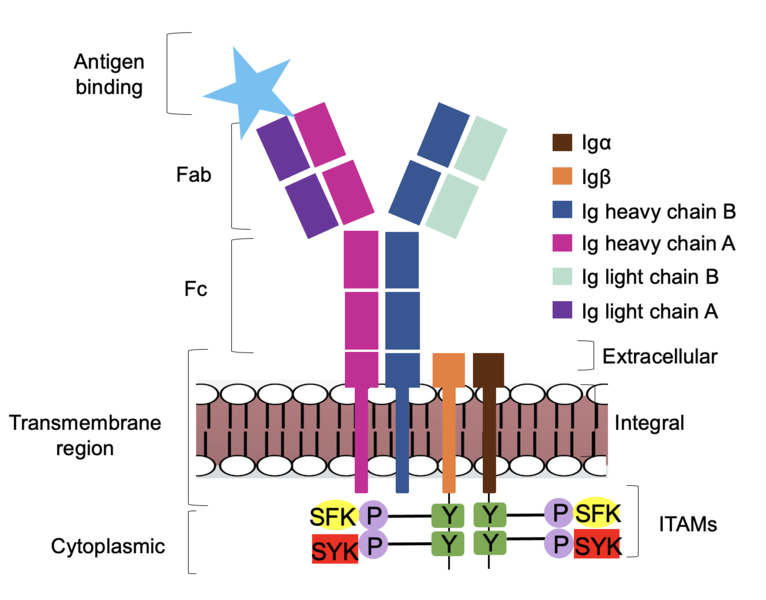 Image:Signal diagram2.png