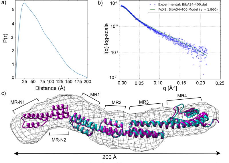 Image:Fig5a-c-relabel-motifs-photoshop-edit.png