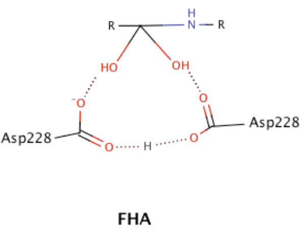 Low Barrier Hydrogen Bond in the tetrahedral intermediate of BACE1    Modified from Toulokhonova et al. (2003) J. Biol. Chem. 278 (7): 4582–4589.