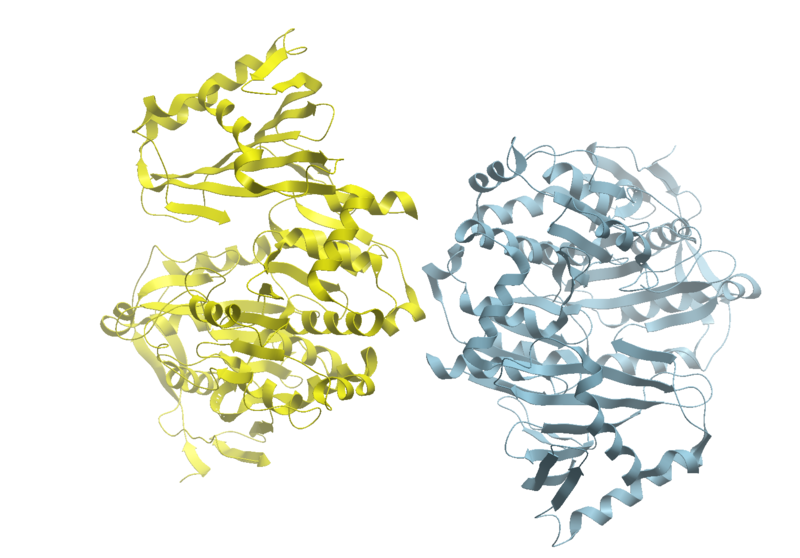 Image:Phosphoglucomutase.png