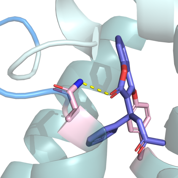 Image:Warfarin cat binding forward asn.png