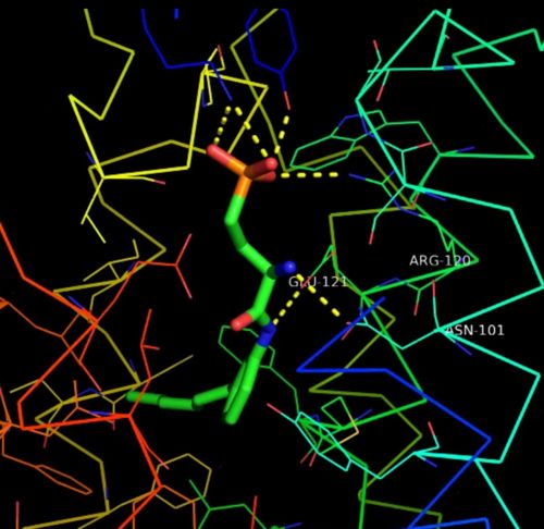 Fig13: Important amino acids interaction(4).