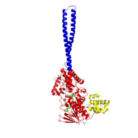 LSD1 overall structure with domains in separate colors