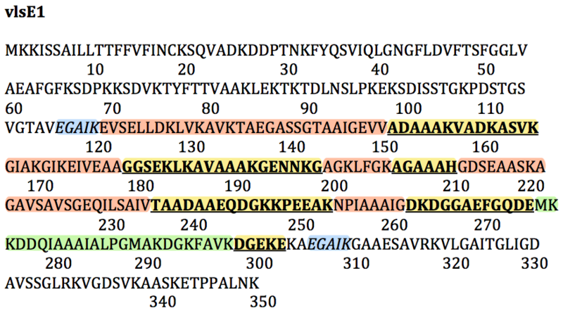 Image:Vlase Gene cassete at 8.18.43 AM.png