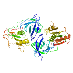 NAD Binding Domain