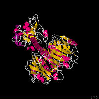 3D image of the Cholera Toxin, which is released by Vibrio cholerea. Subsequent ingestion of the toxin leads to the Cholera disease.
